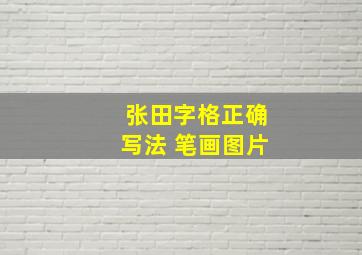 张田字格正确写法 笔画图片